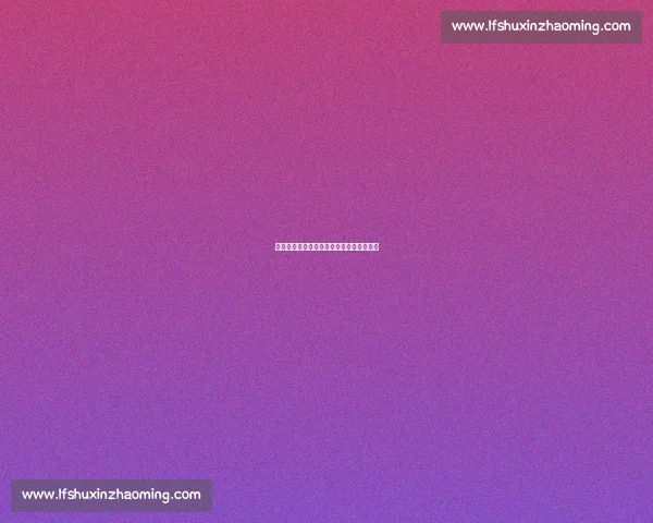 休赛期不打烊：马哥的美网观赛与生活图鉴