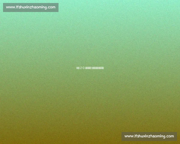 韩国 2-0 力克美国 孙兴慜传射定乾坤