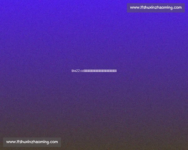 以vs22.cc为核心的全新资源整合与服务体验平台生态升级