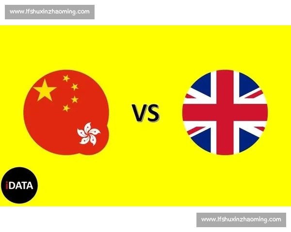 香港vs中国视角下的经济文化治理差异与未来走向探析比较研究框架