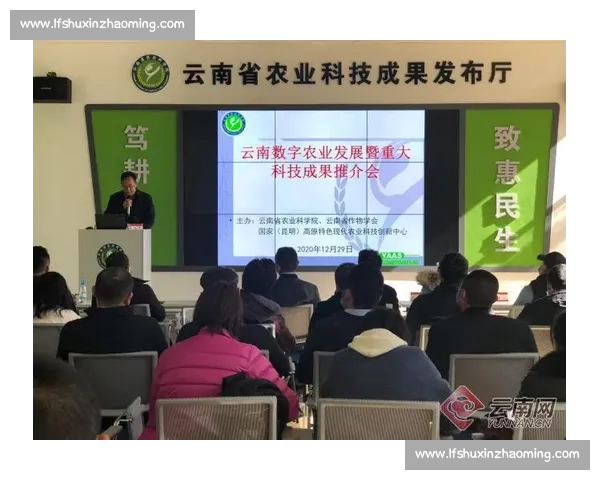 贵州VS产业升级新引擎赋能数字经济高质量发展之路创新实践观察