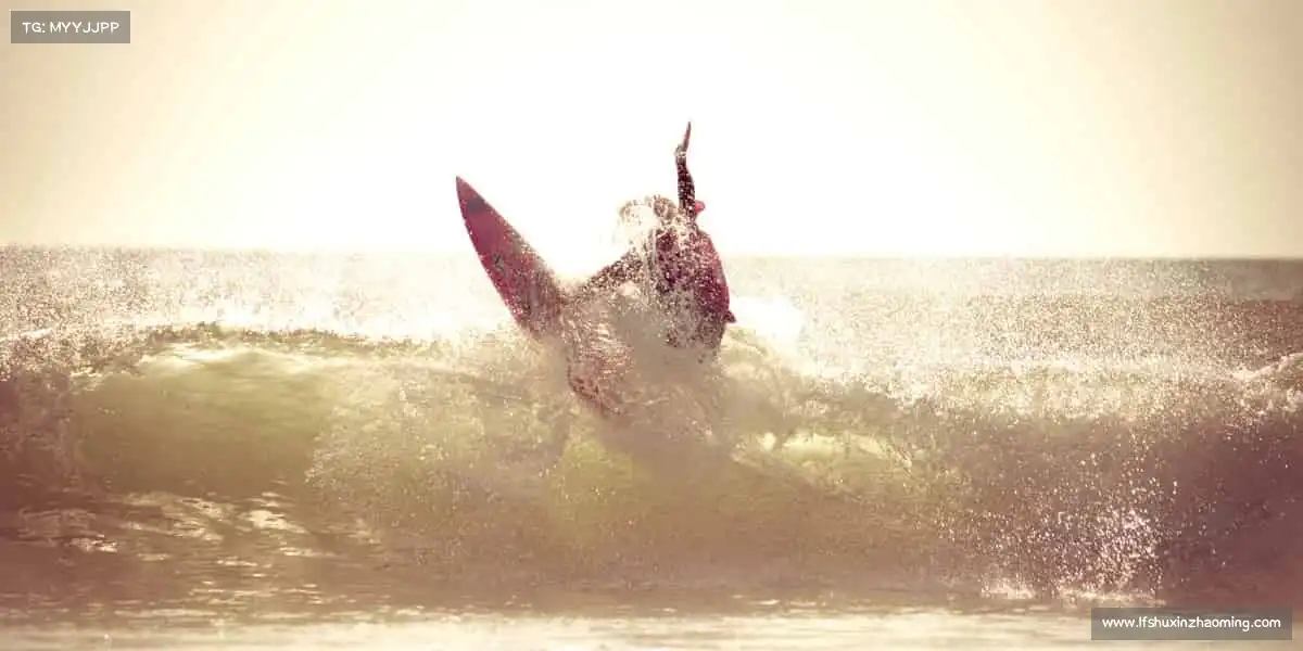 为什么选择我们